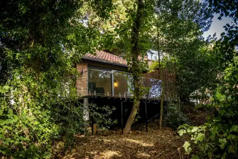Acomb Road House in a lush, wooded setting with a modern deck.