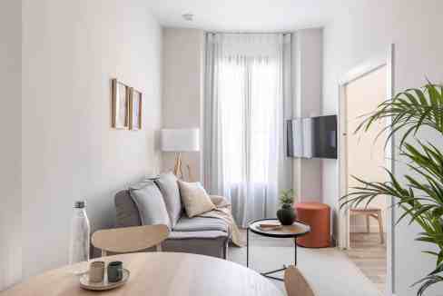 Bright minimalist living room with sofa, TV, and plants, featuring neutral tones and natural light.