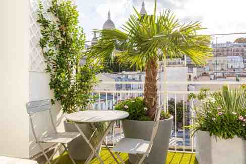 Balcony with potted palm trees and cityscape view in Montmartre.