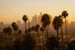 Sunset over Los Angeles skyline with palm trees in foreground.