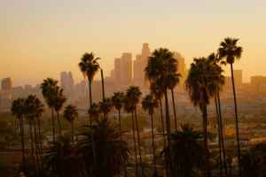 Sunset over Los Angeles skyline with palm trees in foreground.