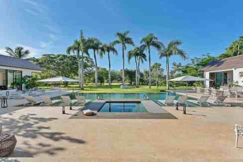 Elegant outdoor pool with palm trees and lounge chairs at Still Life Global.